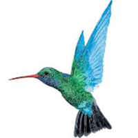 Caribbean Airlines