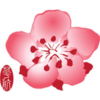China Airlines
